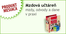 Mzdov� u�t�re�