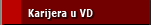 Karijera u VD