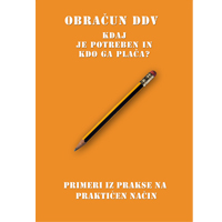 Obračun DDV – kdaj je potreben in kdo ga plača? Primeri iz prakse na praktičen način