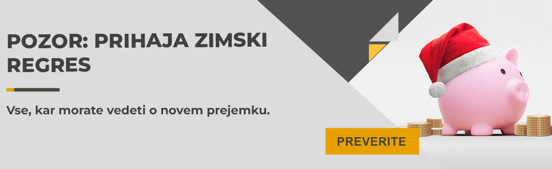 Zimski regres