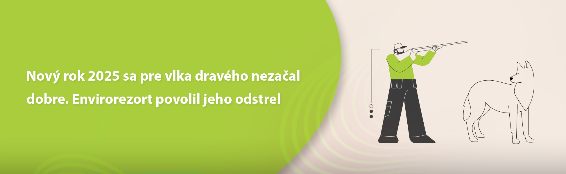 Nov rok 2025 sa pre vlka dravho nezaal dobre. Envirorezort povolil jeho odstrel