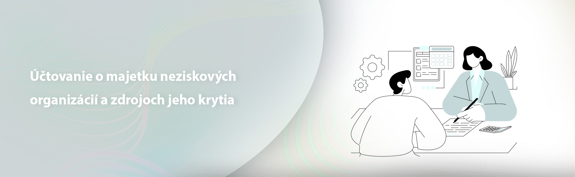 tovanie o majetku neziskovch organizci a zdrojoch jeho krytia